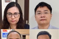 Từ trên xuống dưới, từ trái sang, các bị can: Nguyễn Mai Anh, Ngô Quang Tuấn, Trần Văn Dự, Vũ Sỹ Cường. (Nguồn: nld.com.vn).