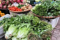 Mặt hàng rau xanh đang tăng ở các chợ trên địa bàn thành phố Hà Nội. (Ảnh: PV/Vietnam+).