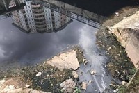 Ảnh minh họa. (Ảnh: Hùng Võ/Vietnam+)