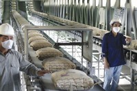 Doanh nghiệp sản xuất đau đầu với chi phí nguyên vật liệu