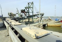 Ngành xi măng đang trong tình trạng dư cung, nhưng vẫn có nhiều dự án xin đầu tư.