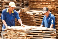 Xuất khẩu các sản phẩm từ gỗ đang giảm tốc.