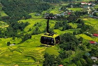 Khung cảnh mùa lúa chín ngoạn mục ở thung lũng Mường Hoa.