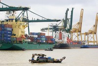 Phần lớn đội tàu trong nước được cho thuê tại thị trường ngoài.