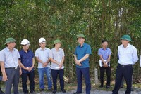 Lãnh đạo UBND tỉnh Quảng Bình trong lần kiểm tra thực địa Dự án Cao tốc Bắc - Nam phía Đông, đoạn đi qua địa bàn huyện Quảng Trạch. Nguồn: quangbinh.gov.vn