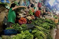 Giá rau xanh giảm khiến không chỉ người tiêu dùng mà tiểu thương tại các chợ cũng phấn khởi. (Ảnh: Việt Anh/Vietnam+)