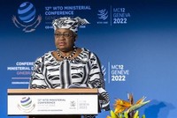 Tổng giám đốc Tổ chức Thương mại Thế giới (WTO) Ngozi Okonjo-Iweala. (Ảnh: AFP/TTXVN)