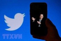Hình ảnh tỷ phú Elon Musk trên màn hình điện thoại và biểu tượng Twitter trên màn hình máy tính. (Ảnh: AFP/TTXVN)