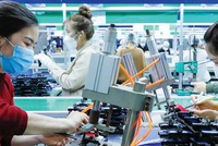 Các doanh nghiệp xuất khẩu đang nỗ lực đa dạng thị trường cũng như đa dạng nhà cung cấp nguyên liệu.