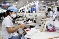 Công nhân làm việc trong xưởng may hàng xuất khẩu tại Garco 10, Tổng Công ty May 10. (Ảnh: Trần Việt/TTXVN)