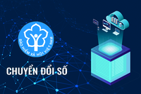 Bảo hiểm xã hội Việt Nam là một trong những cơ quan đi đầu trong ứng dụng công nghệ thông tin