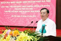 Ủy viên Bộ Chính trị, Bí thư Thành ủy, Trưởng đoàn đại biểu Quốc hội thành phố Hà Nội Đinh Tiến Dũng phát biểu tại buổi làm việc. (Ảnh: TTXVN phát)