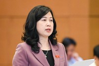 Bộ trưởng Bộ Y tế Đào Hồng Lan.