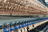 Xuất khẩu hàng hóa sang Nhật 9 tháng đạt 17,8 tỷ USD, tăng 21,6%, xuất siêu 10 triệu USD.