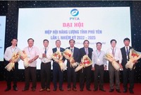 Hiệp hội năng lượng tỉnh Phú Yên được thành lập với 7 thành viên.