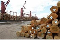 Bộ Công thương cho hay, số lượng đơn đặt hàng mới tăng chậm lại kể từ tháng 9 tới nay, ở những ngành hàng xuất khẩu lớn như dệt may, da giày, điện tử, đồ gỗ...