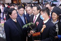 Bộ trưởng Lê Minh Hoan thăm gian trưng bày Sâm Lai Châu tại Hội nghị Xúc tiến Đầu tư lĩnh vực nông nghiệp tỉnh Lai Châu năm 2021.