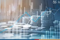 Ảnh minh họa: The Nation.