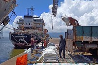 Công nhân bốc dỡ gạo tại cảng Kakinada Anchorage của Ấn Độ. (Nguồn: Reuters).