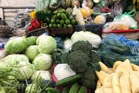 Các loại rau vụ Đông như bắp cải, súp lơ, su hào... 'thưa thớt' tại các gian hàng chợ truyền thống. (Ảnh: Việt Anh/Vietnam+).