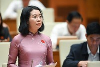 Đại biểu Mai Thị Phương Hoa (Nam Định) phát biểu tại hội trường.