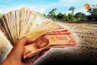 Ảnh minh họa: Thai PBS.