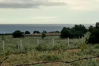 Khu vực xã Hồng Thắng.