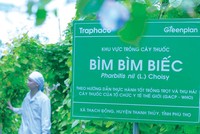 Traphaco luôn đảm bảo cân bằng 3 mục tiêu: tăng trưởng kinh tế gắn với bảo tồn hệ sinh thái xanh và phát triển cộng đồng xã hội.