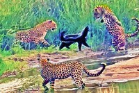 Tổ đội báo hoa mai đụng nhầm phải "chúa tể lỳ đòn" và cái kết không thể quê hơn