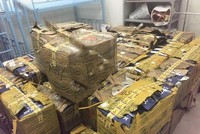 Lô hàng bị phát hiện trên chuyến bay giải cứu công dân từ Nga về Việt Nam.