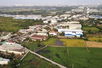 Đất nông nghiệp “loang lổ” ở huyện Bình Chánh (TP.HCM).