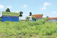 Mùa đông dài với ngành bất động sản