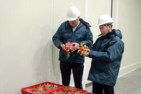 Cabin bảo quản mát trái cây được IPEI xây dựng tại đồng bằng sông Cửu Long.