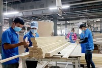 Gỗ và sản phẩm gỗ là mặt hàng xuất khẩu tỷ USD của Việt Nam.
