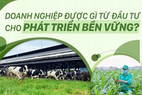 Doanh nghiệp được gì từ đầu tư cho phát triển bền vững?