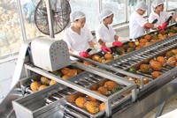 Lợi nhuận của Afiex chủ yếu tới từ hoạt động kinh doanh nông, lâm, thủy sản.