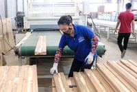 Doanh nghiệp trong nước đang phải chịu gánh nặng chi phí vốn lớn.