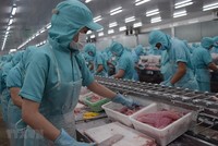 Quy trình sản xuất tại một cơ sở chế biến thủy sản của tỉnh Đồng Tháp. (Ảnh: Chương Đài/TTXVN)