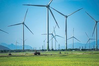 Với vai trò là nhà đầu tư chính phủ, SCIC có thể dẫn dắt dòng chảy đầu tư vào các lĩnh vực xanh.