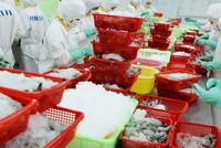 Nhiều doanh nghiệp thủy sản đang vào thị trường nội địa và đa dạng thị trường xuất khẩu, nâng cao tiêu chuẩn sản phẩm.