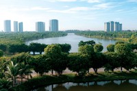 Tìm cửa đầu tư năm Mèo