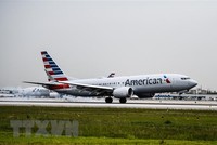 Máy bay của hãng hàng không American Airlines tại sân bay quốc tế Miami. (Ảnh: AFP/TTXVN).