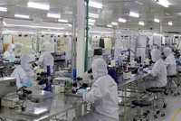 Thu hút đầu tư FDI của Bắc Giang liên tục tăng. (Ảnh: Đồng Thúy/TTXVN).