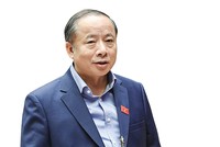 Ông Nguyễn Văn Thân, Ủy viên Ủy ban Kinh tế của Quốc hội, Chủ tịch Hội Doanh nghiệp nhỏ và vừa Việt Nam.