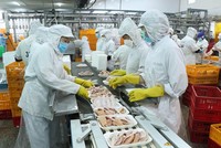 Bộ Tài chính đề xuất cho doanh nghiệp, hộ gia đình, cá nhân đang được Nhà nước cho thuê đất trực tiếp, sẽ được giảm 30% tiền thuê đất, mặt nước phải nộp của năm 2023 (Ảnh: TTXVN)