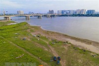 Bãi bồi ven sông Hồng. (Ảnh: TTXVN phát)