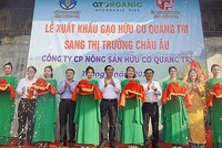 Lần đầu tiên, 15 tấn gạo hữu cơ của tỉnh Quảng Trị được xuất khẩu sang châu Âu.