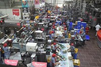 Công nhân làm việc tại nhà máy ở Naroda, gần Ahmedabad, Ấn Độ. (Nguồn: AFP/TTXVN)