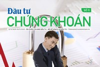 Đầu tư Chứng khoán số 11/2023