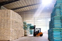 Gạo đang có cơ hội xuất khẩu lớn khi thị trường mở rộng và giá tăng. Ảnh: Dũng Minh.